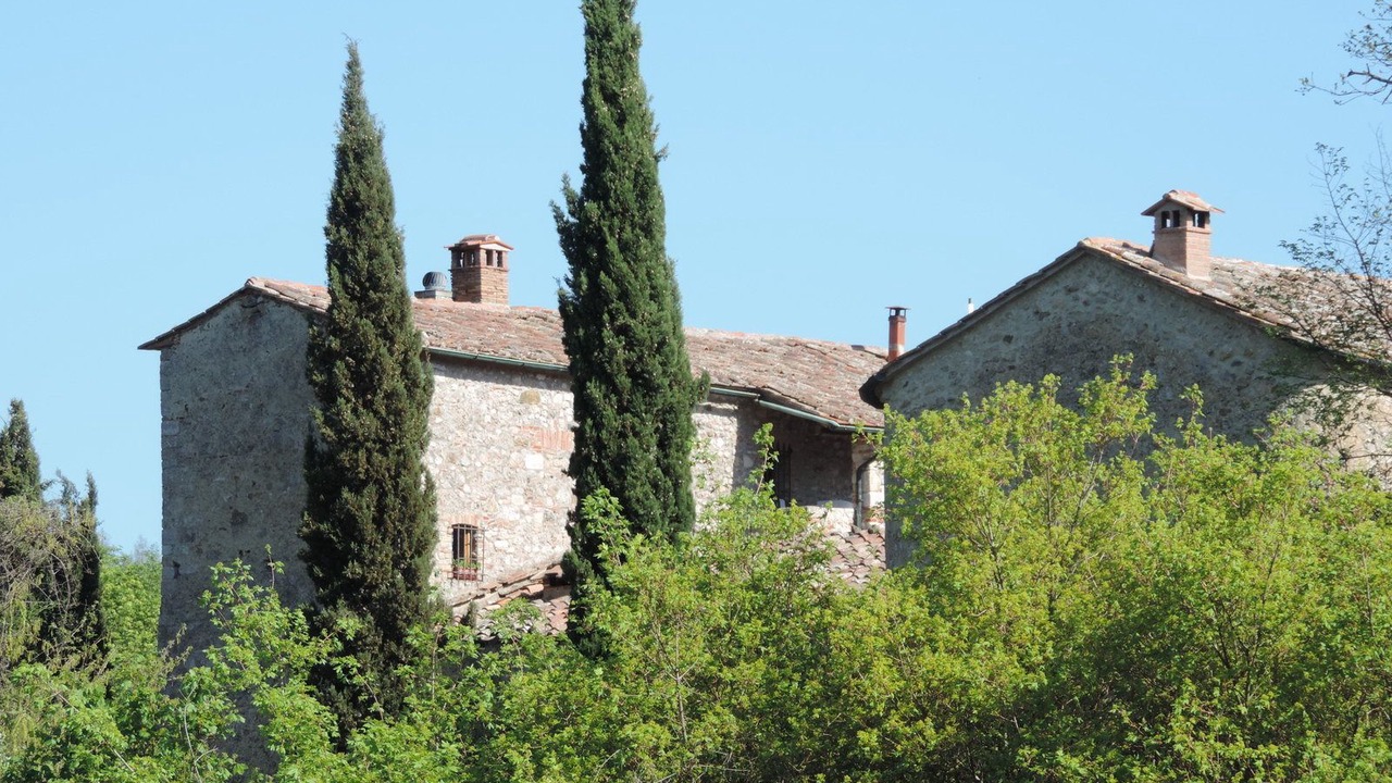 Photo of Others in Montieri