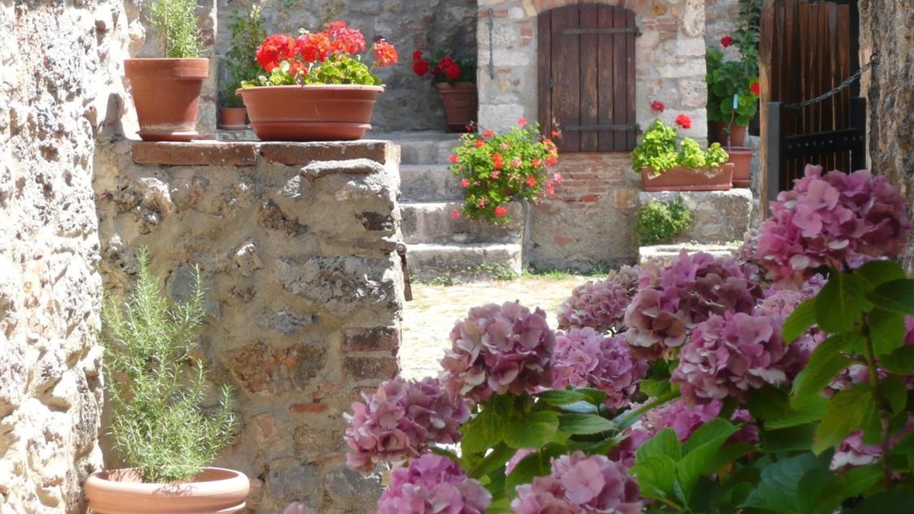 Photo of Outdoor in Montieri