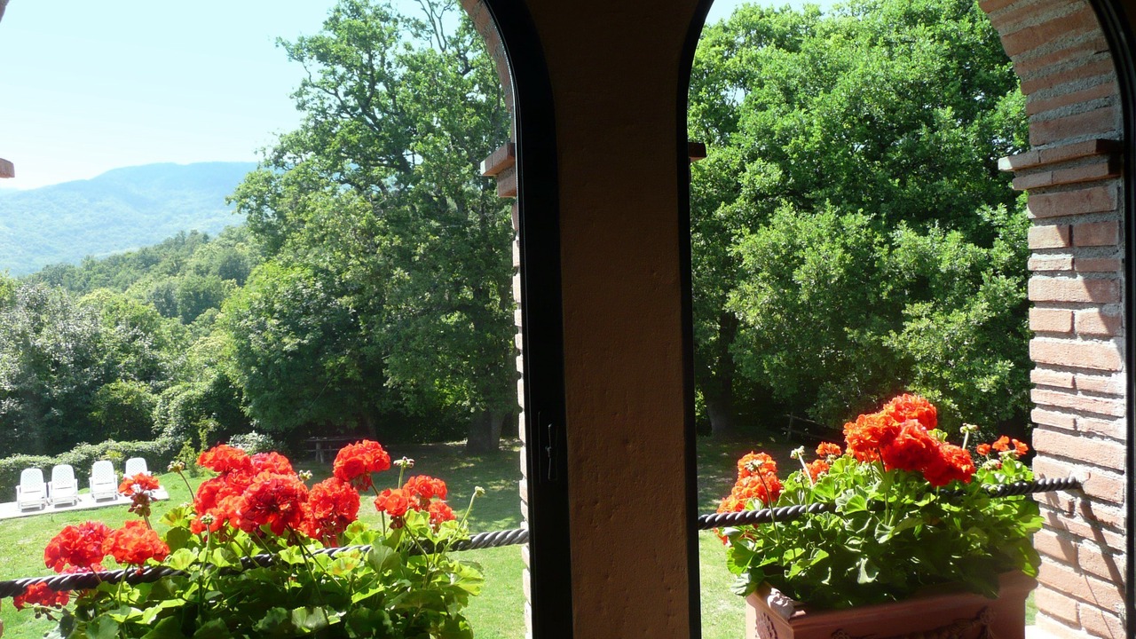 Photo of Outdoor in Montieri