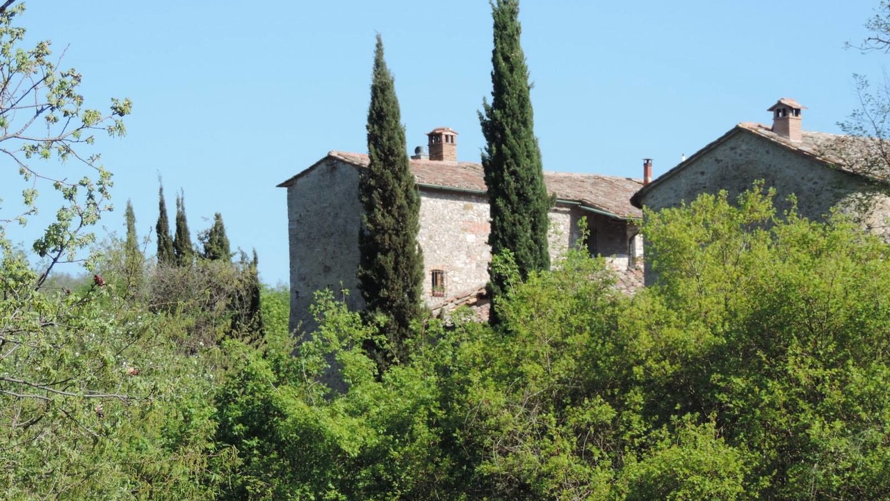 Photo of Outdoor in Montieri