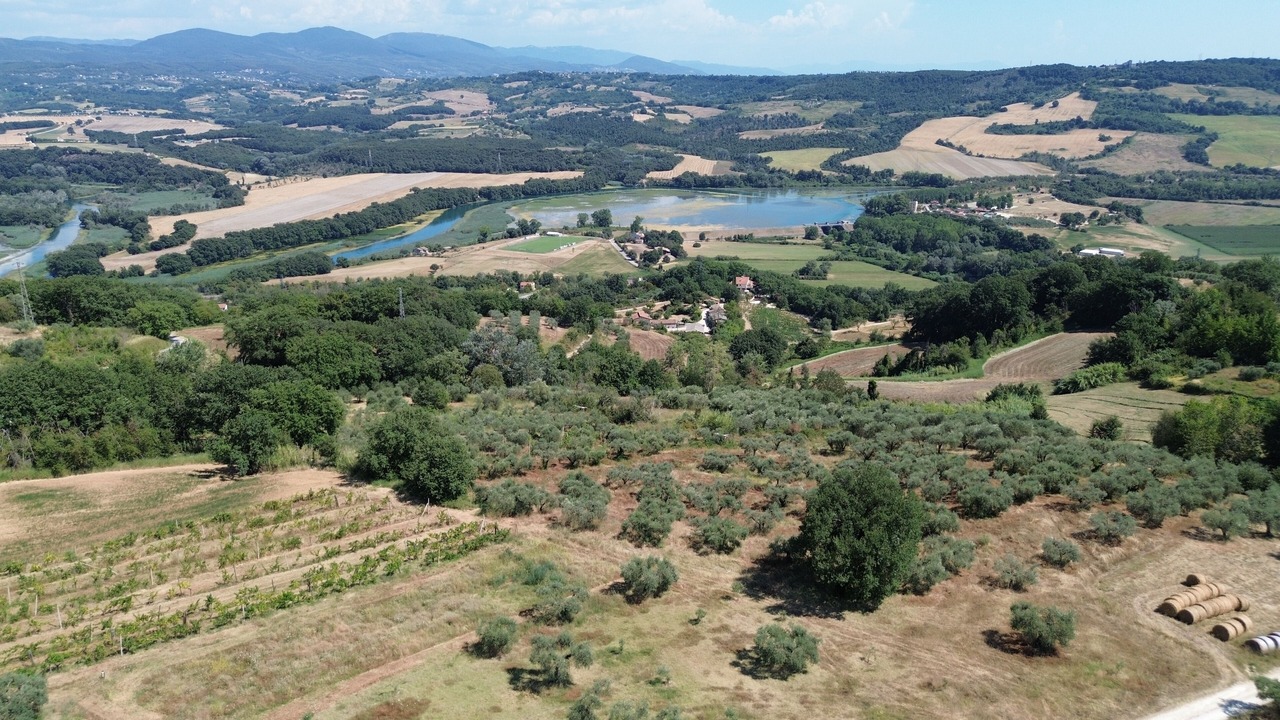 Photo of Outdoor in Montoro