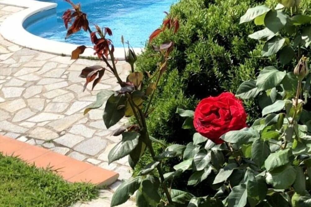 Photo of Outdoor in Celle Ligure