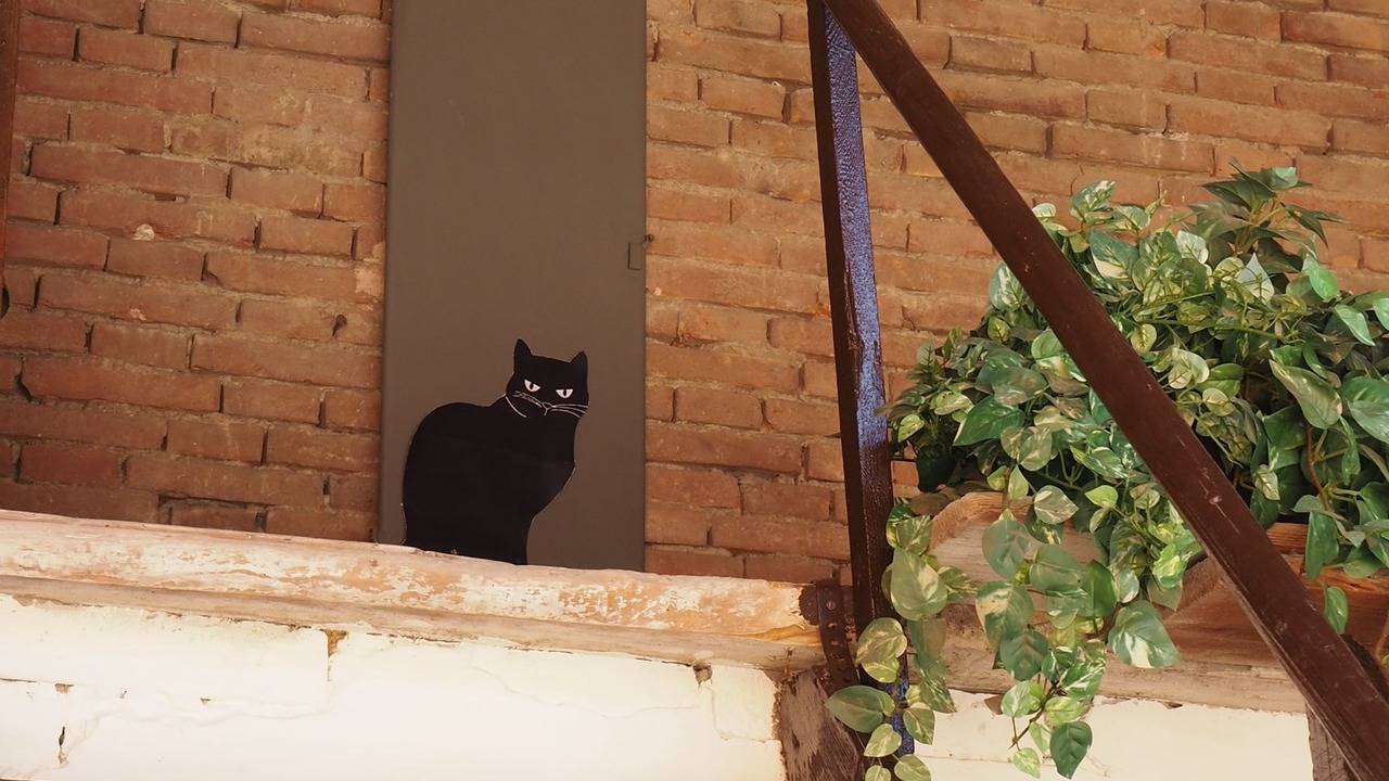 Photo of Outdoor in Forli