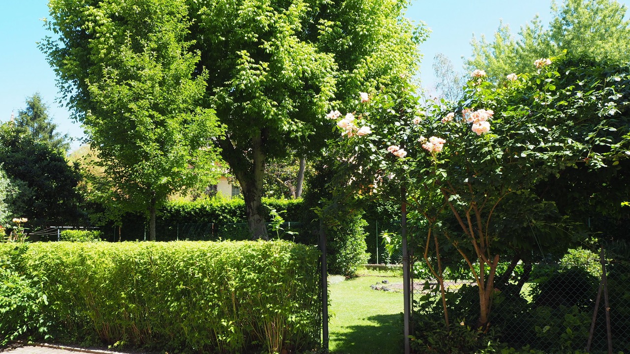 Photo of Outdoor in Forli