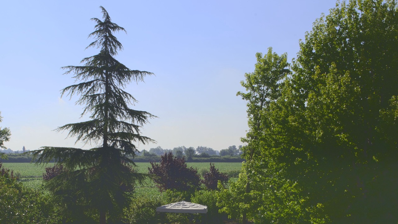 Photo of Outdoor in Ostellato