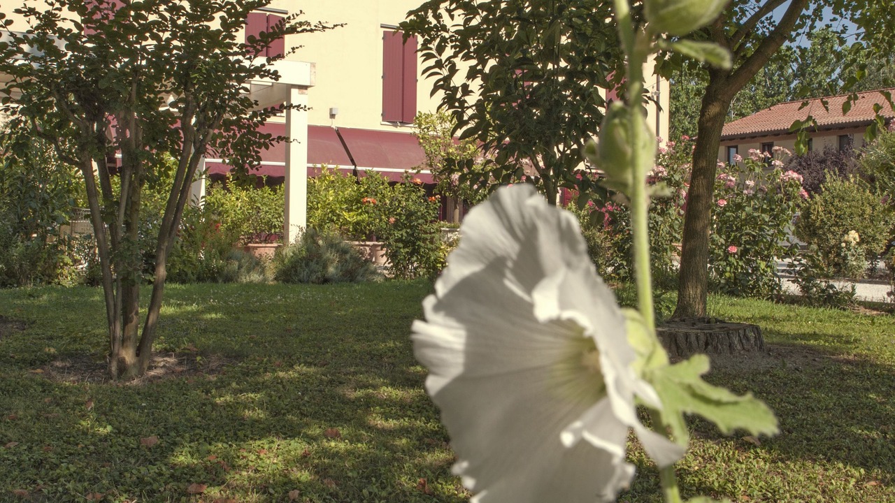 Photo of Outdoor in Ostellato