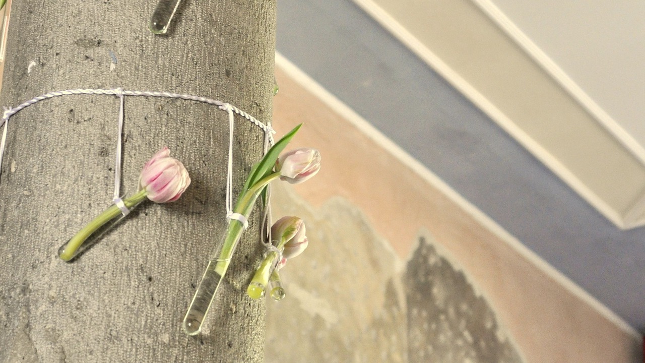 Photo of Others in Gorizia