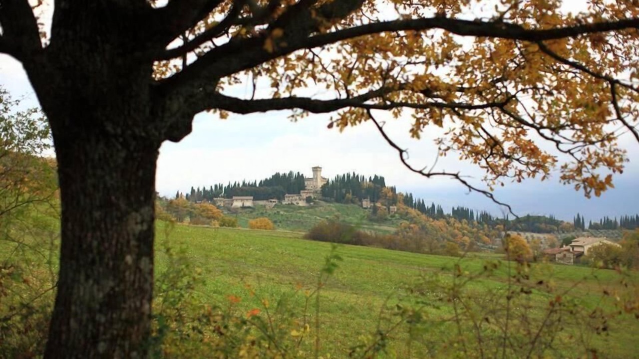 Photo of Outdoor in Cavallina