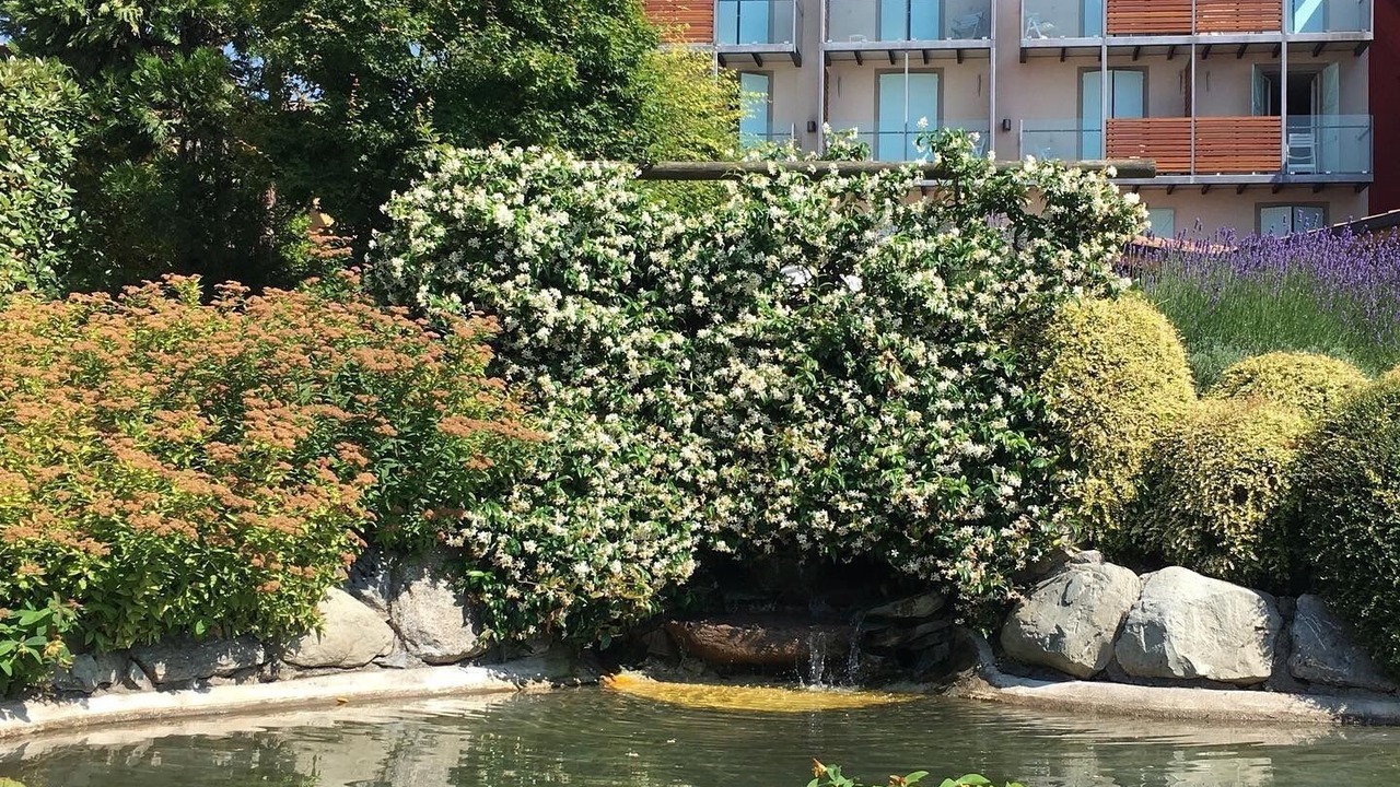 Photo of Outdoor in Bossico