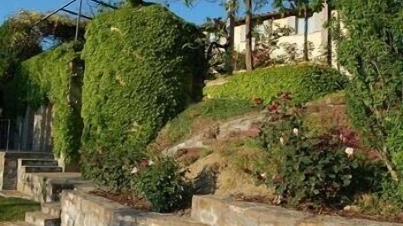 Photo of Outdoor in Scopeti