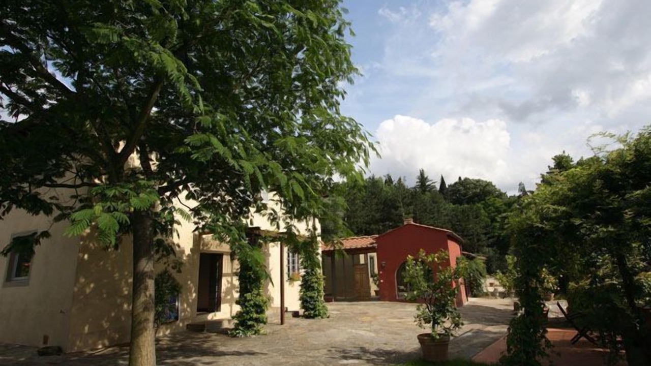 Photo of Outdoor in Scopeti