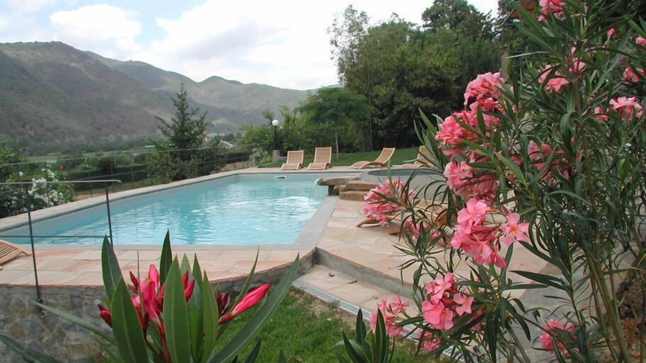Photo of Outdoor in Scopeti
