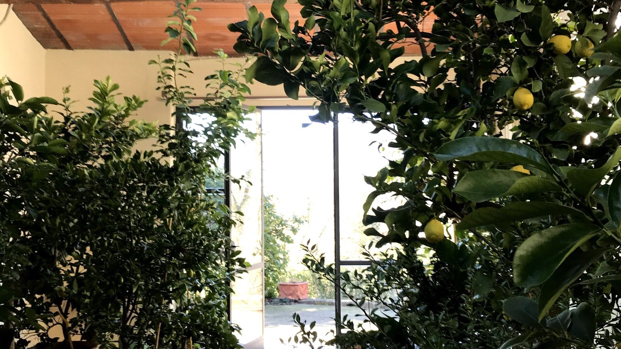 Photo of Outdoor in Scopeti