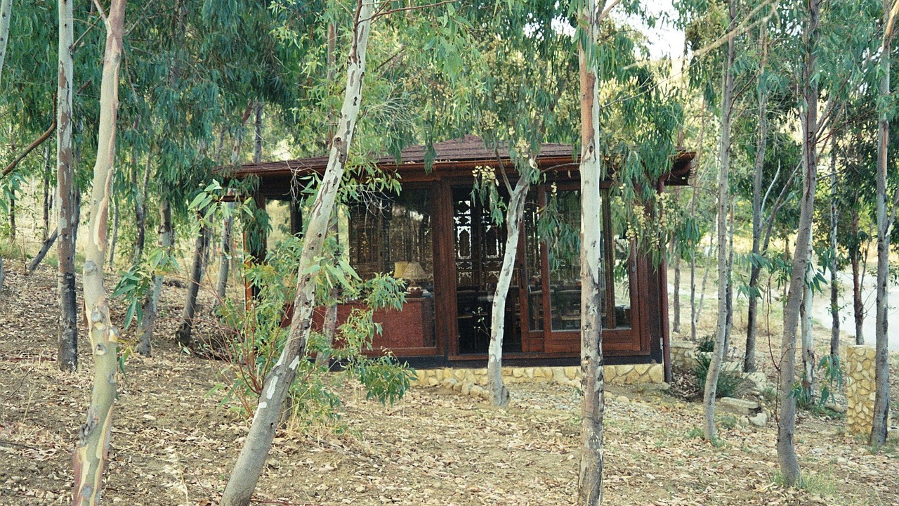 Photo of Outdoor in Cropani Marina