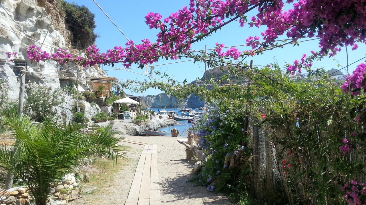 Photo of Outdoor in Le Forna