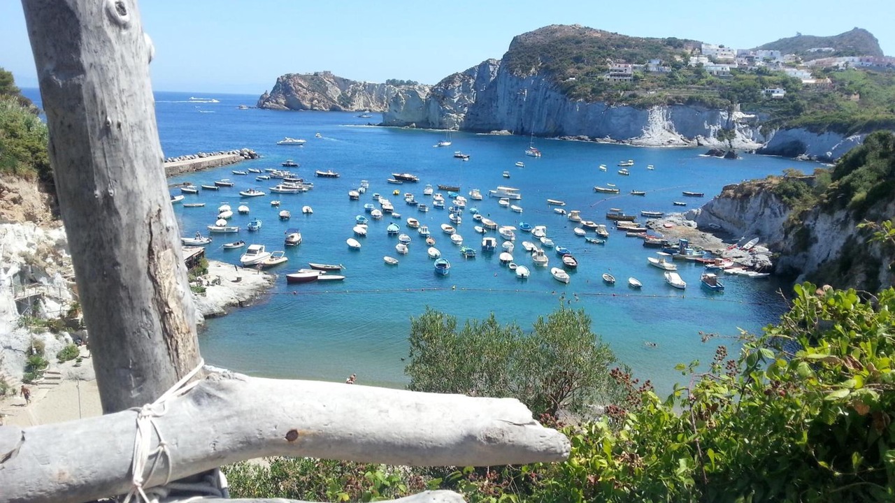 Photo of Others in Le Forna