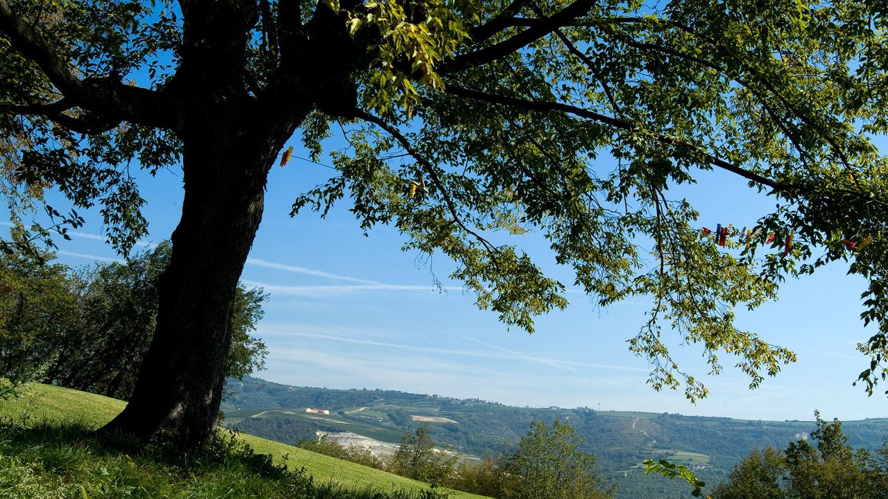 Photo of Outdoor in Nord-Est