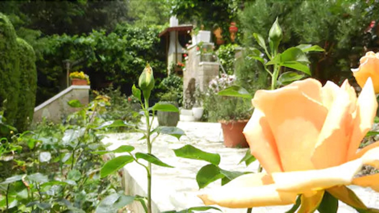 Photo of Outdoor in Monteluco