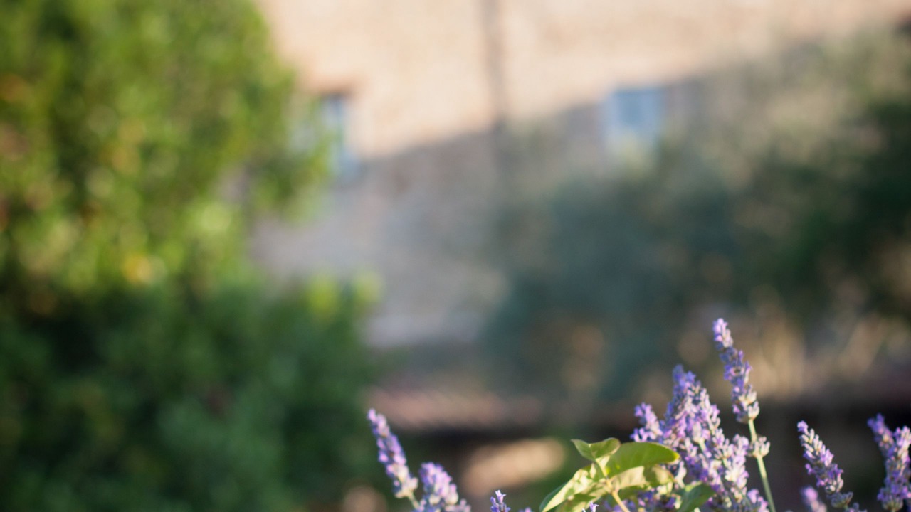 Photo of Outdoor in Todi