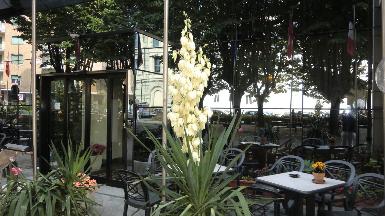 Photo of Outdoor in Acqui Terme