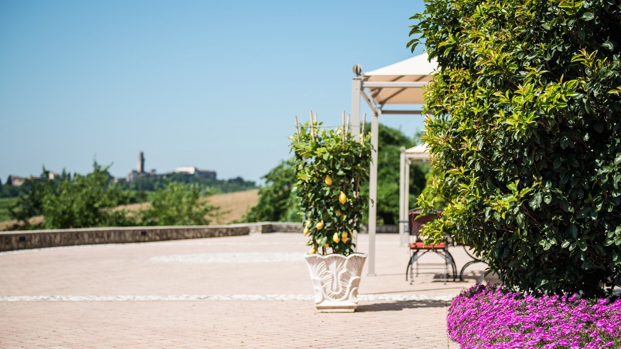 Photo of Outdoor in Susegana