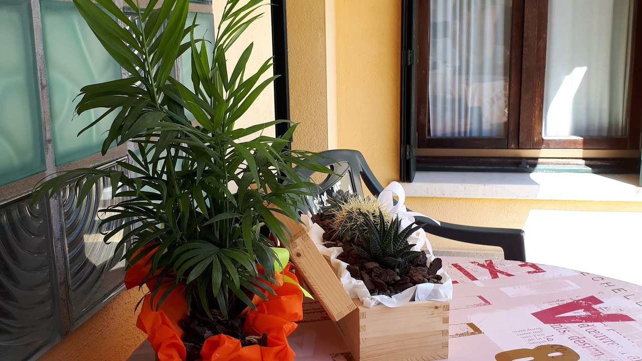 Photo of Patio Balcony in Dossobuono
