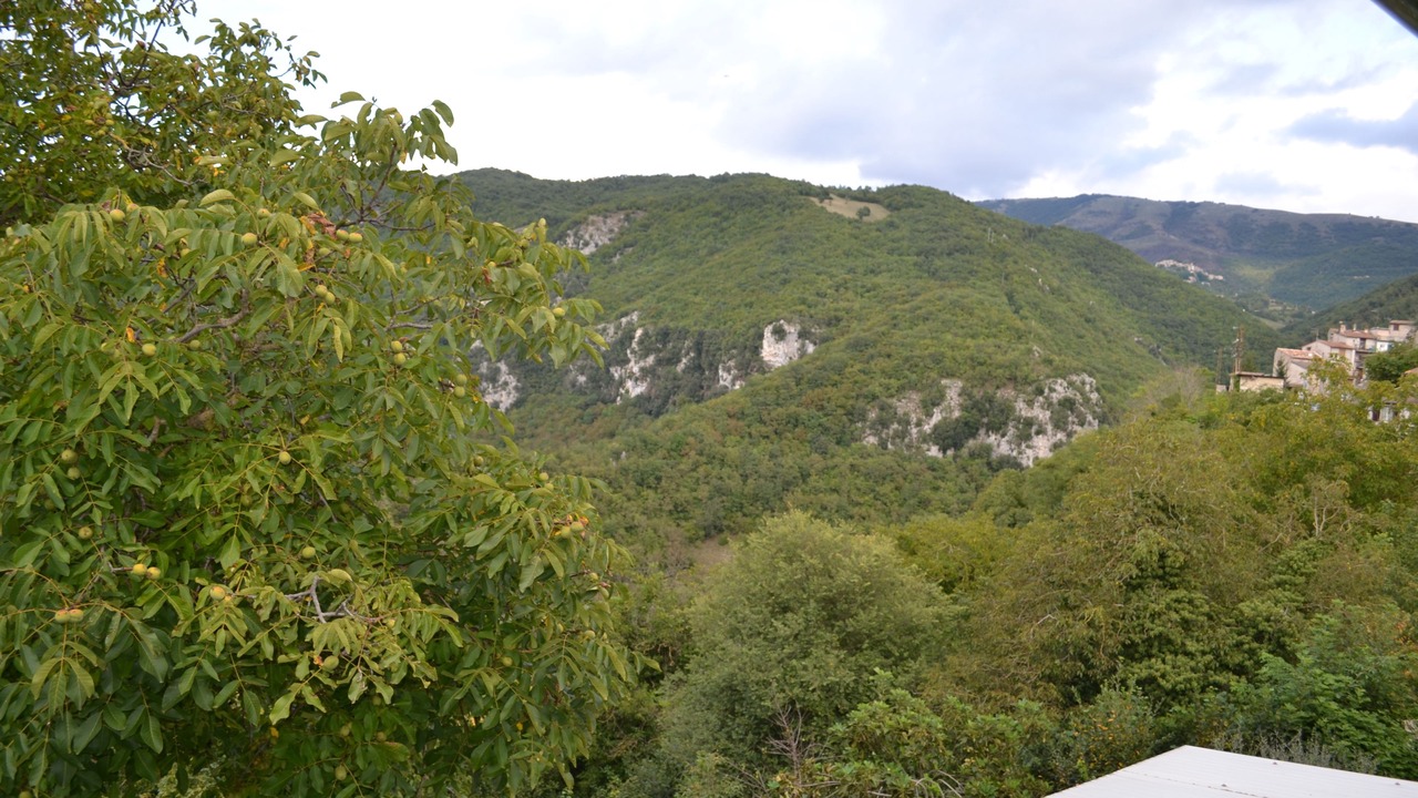 Photo of Bedroom in Posticciola