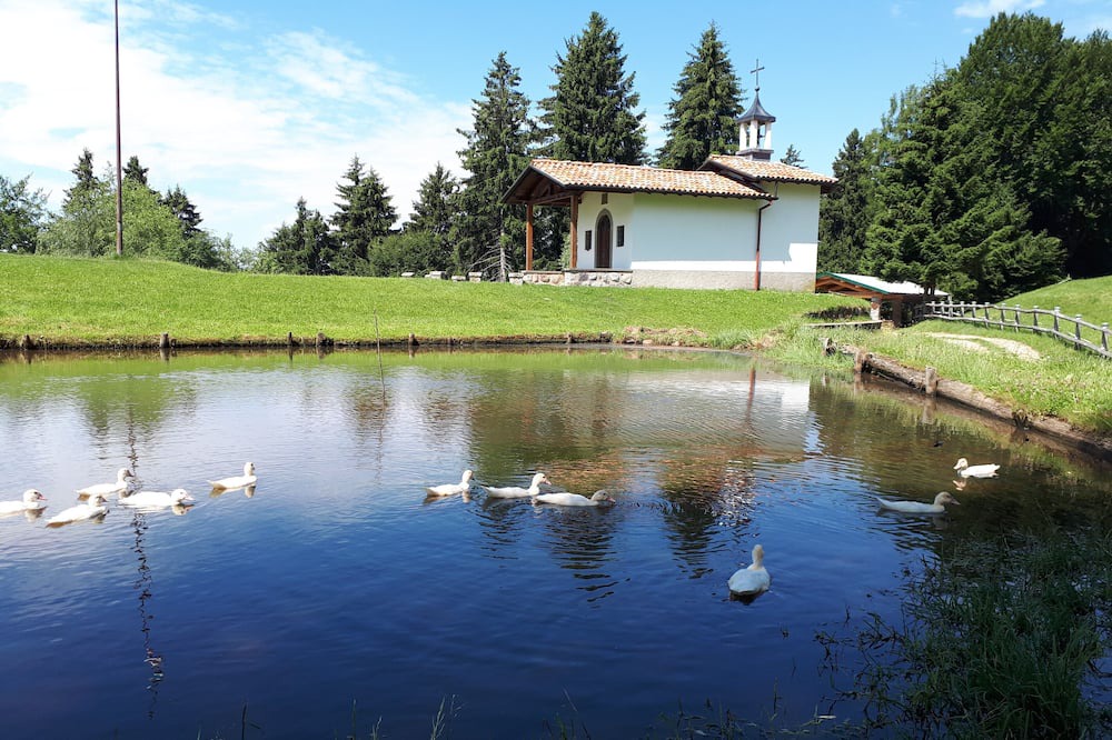 Photo of Outdoor in Bossico