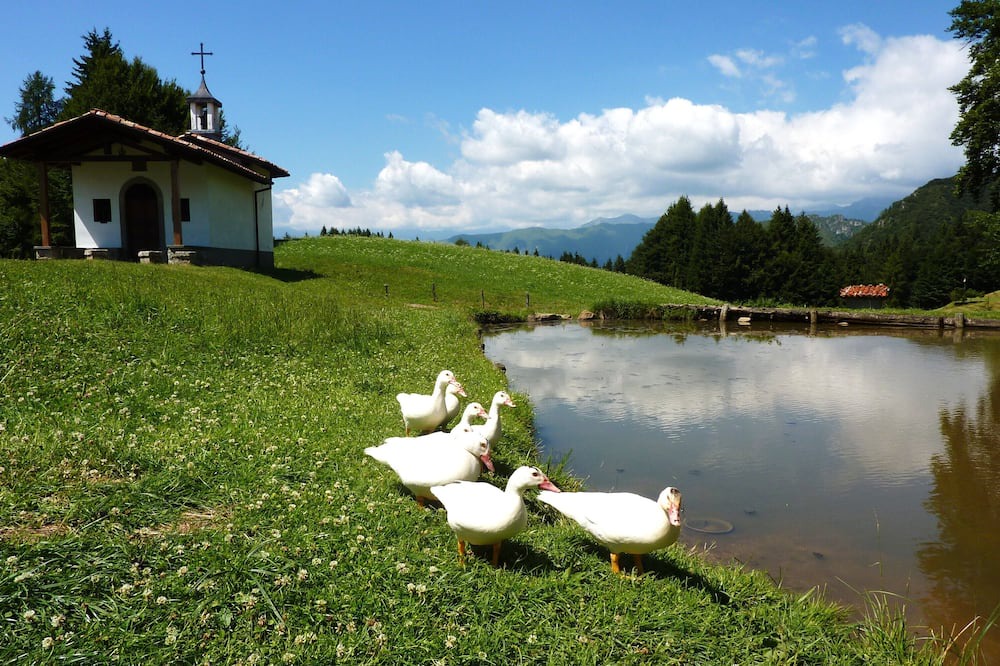 Photo of Outdoor in Bossico
