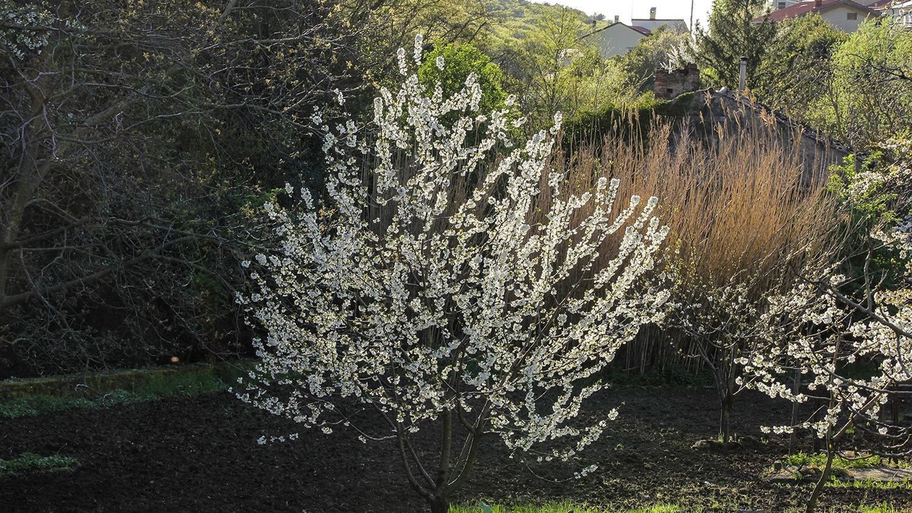 Photo of Outdoor in San Giovanni-Chiadino-Rozzol