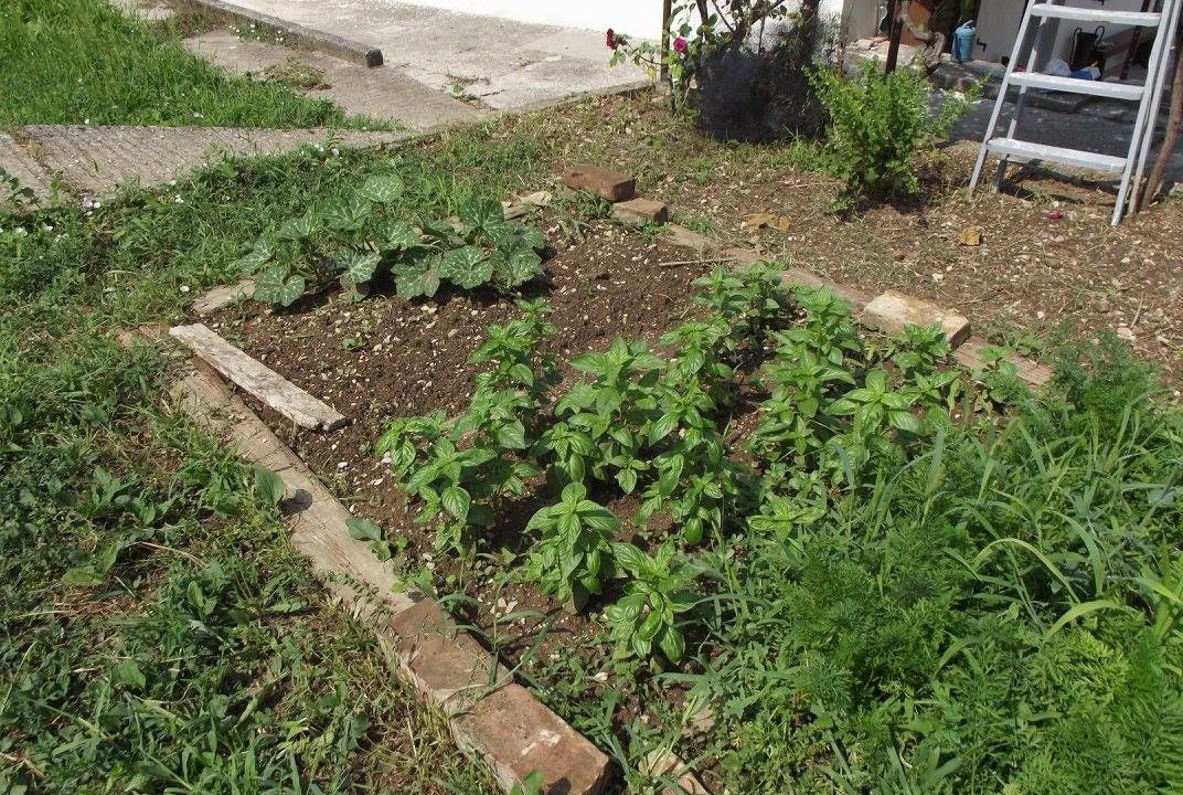 Photo of Outdoor in San Giovanni-Chiadino-Rozzol