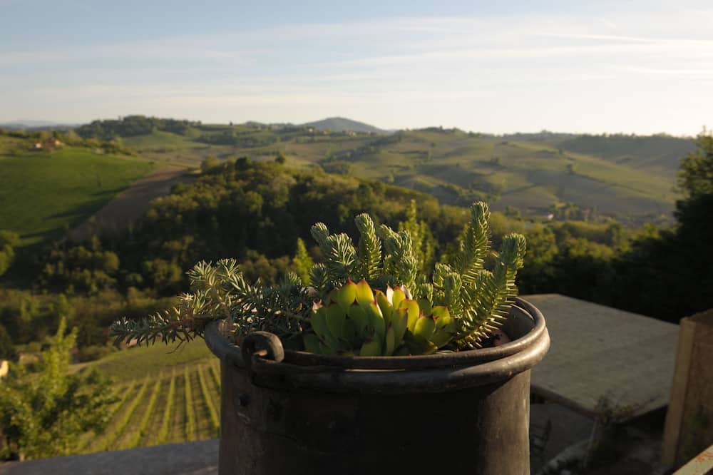 Photo of Outdoor in Santa Giuletta