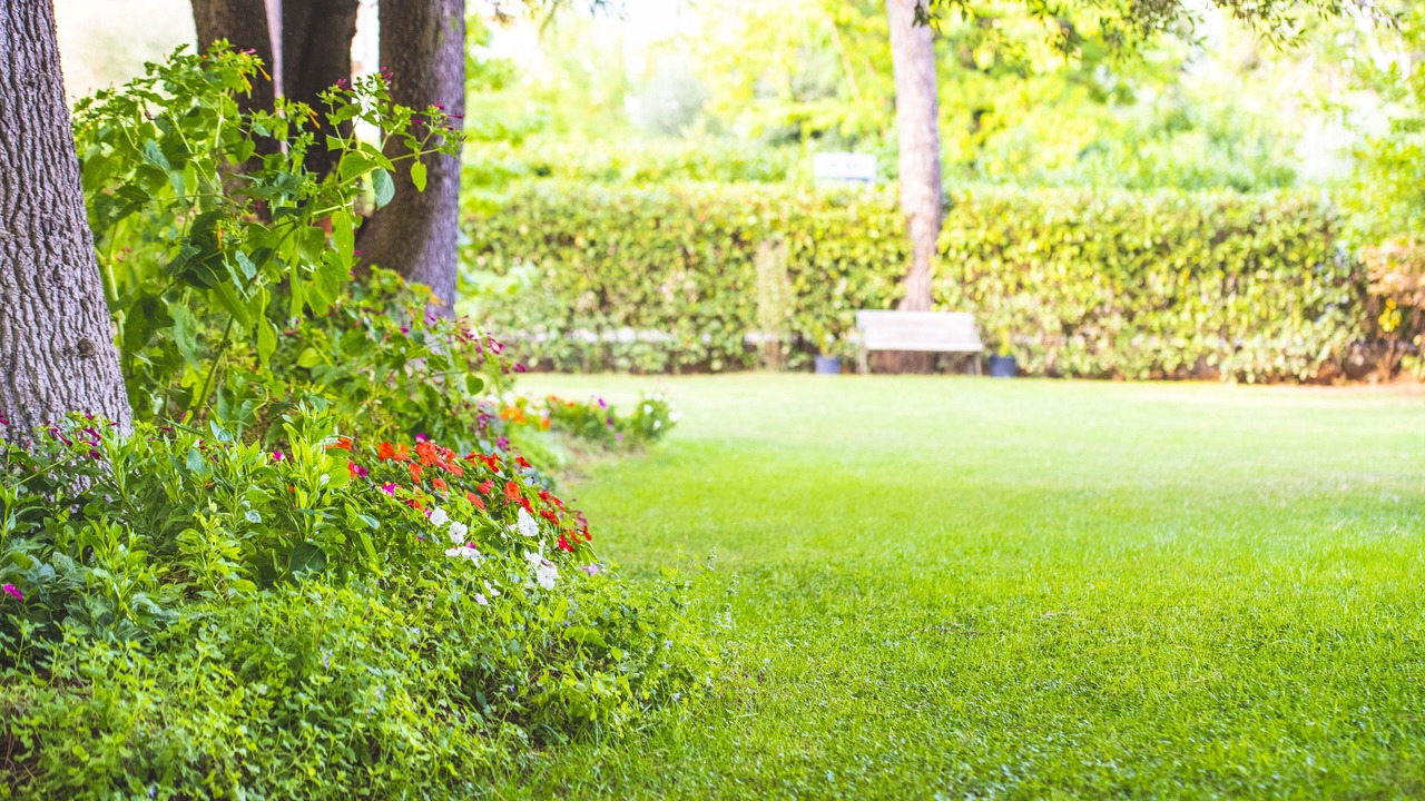 Photo of Outdoor in San Mariano