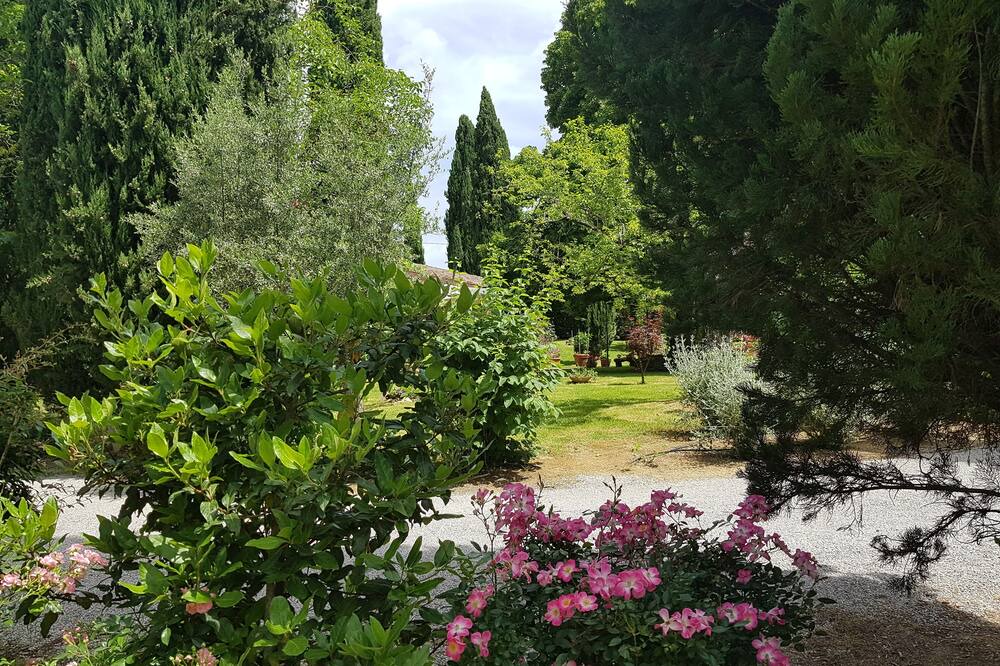 Photo of Outdoor in Panicale