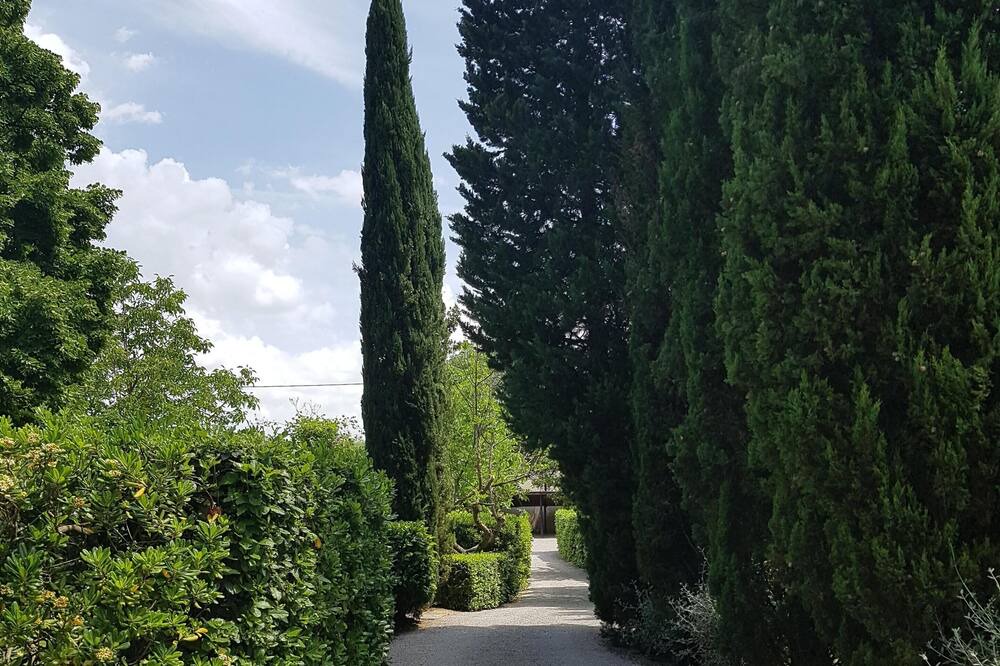 Photo of Outdoor in Panicale