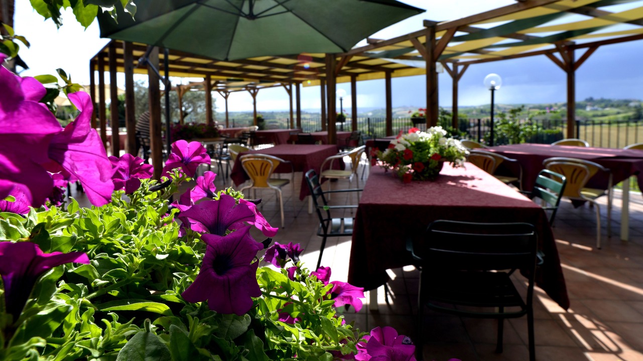 Photo of Outdoor in Montegrosso dʼAsti
