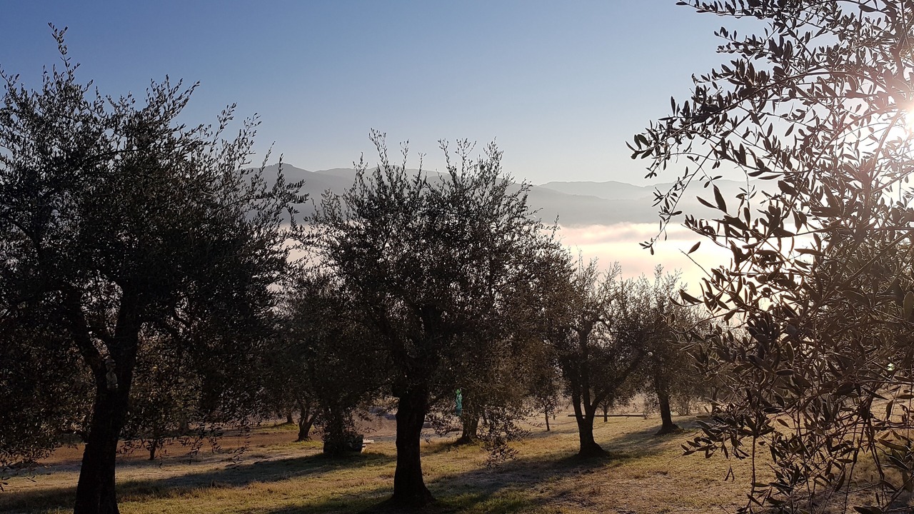 Photo of Outdoor in Dicomano