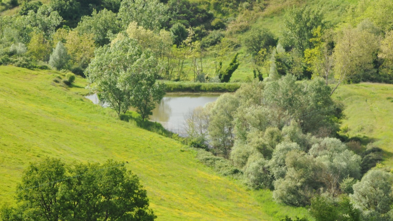 Photo of Outdoor in Vergelle
