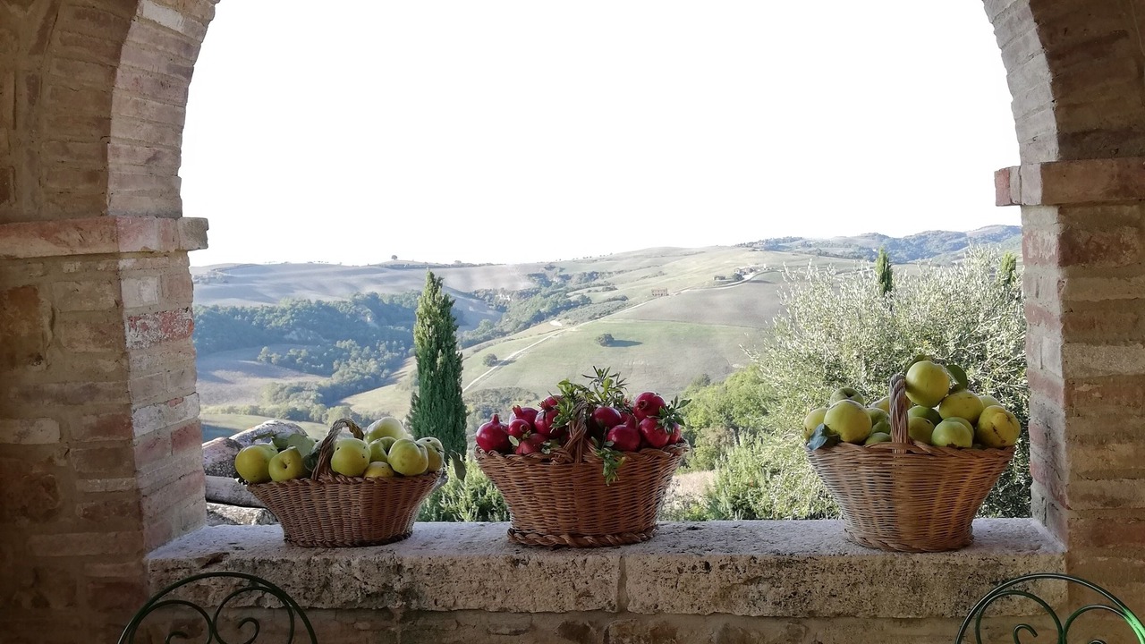 Photo of Patio Balcony in Vergelle