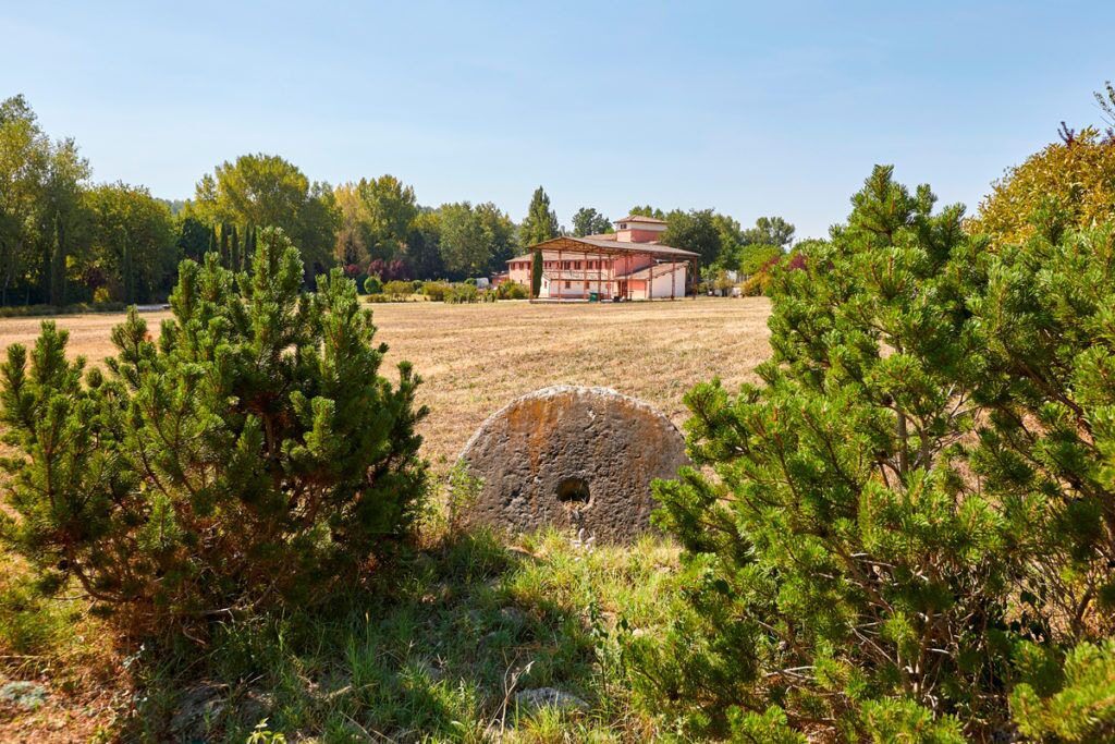 Photo of Others in San Brizio