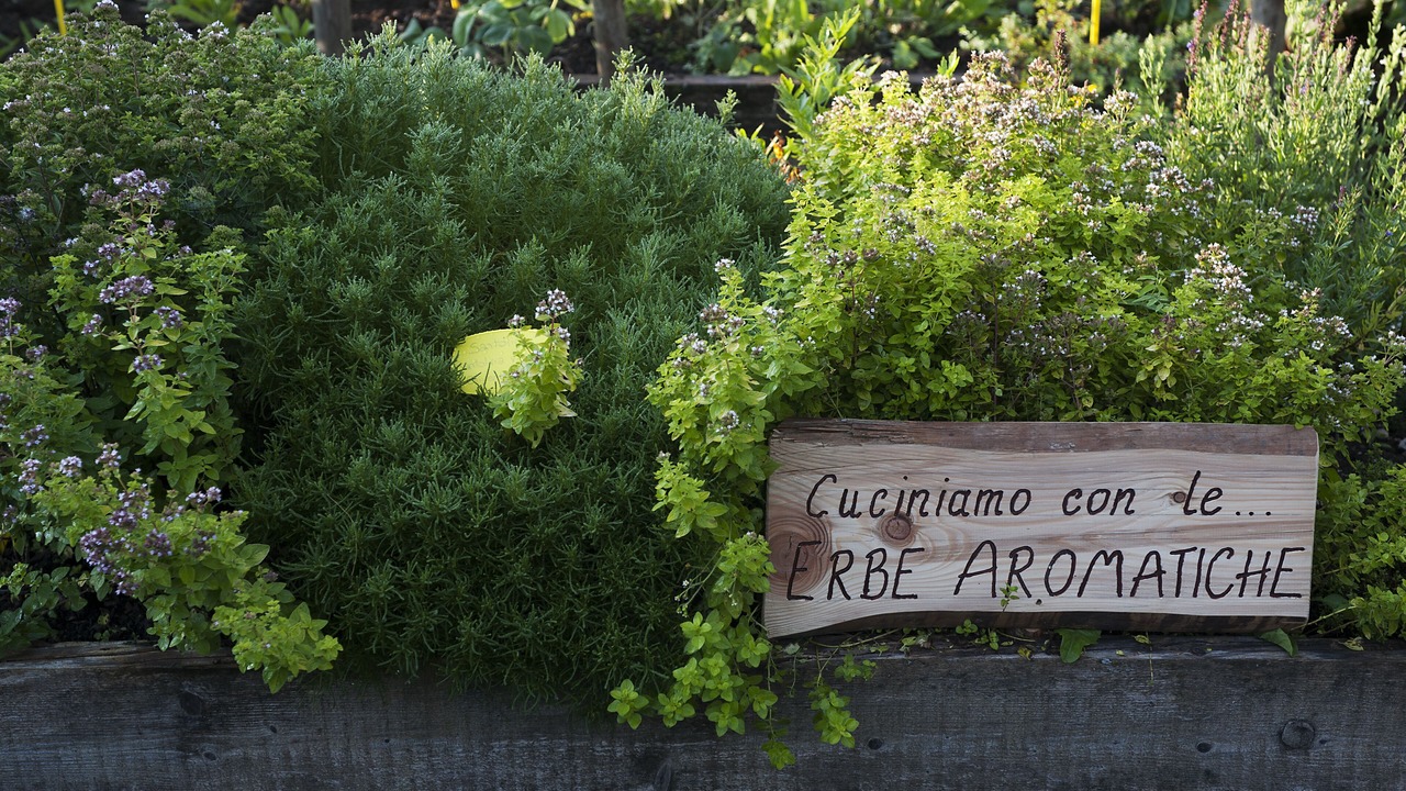 Photo of Outdoor in Malborghetto Valbruna