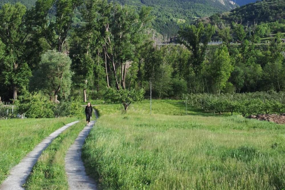 Photo of Outdoor in Saint-Pierre
