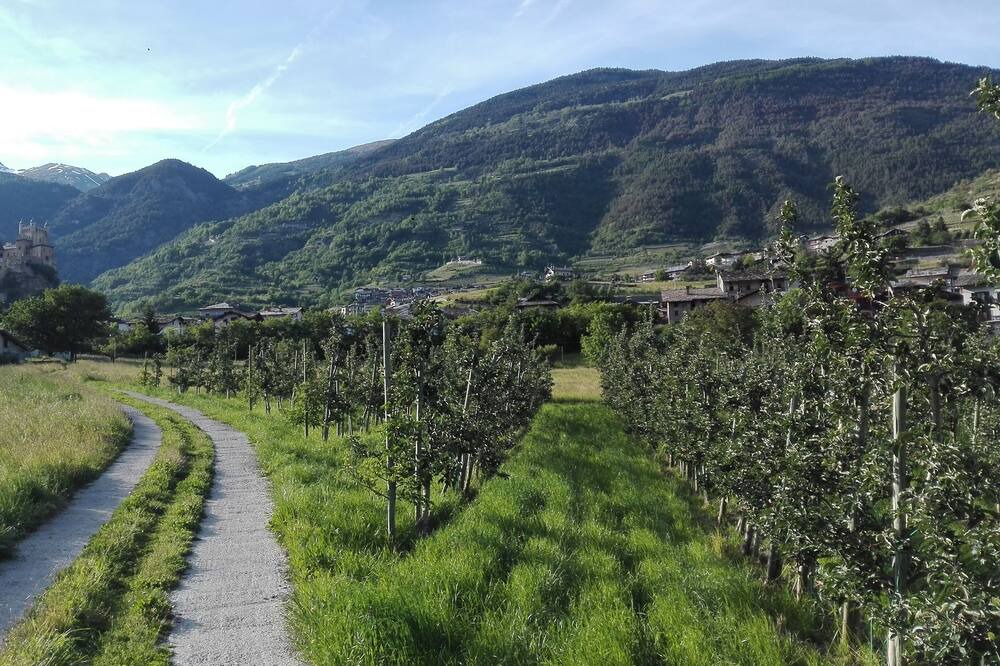 Photo of Outdoor in Saint-Pierre