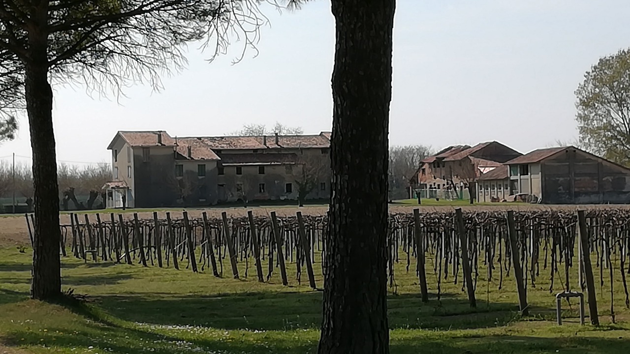 Photo of Outdoor in Aquileia