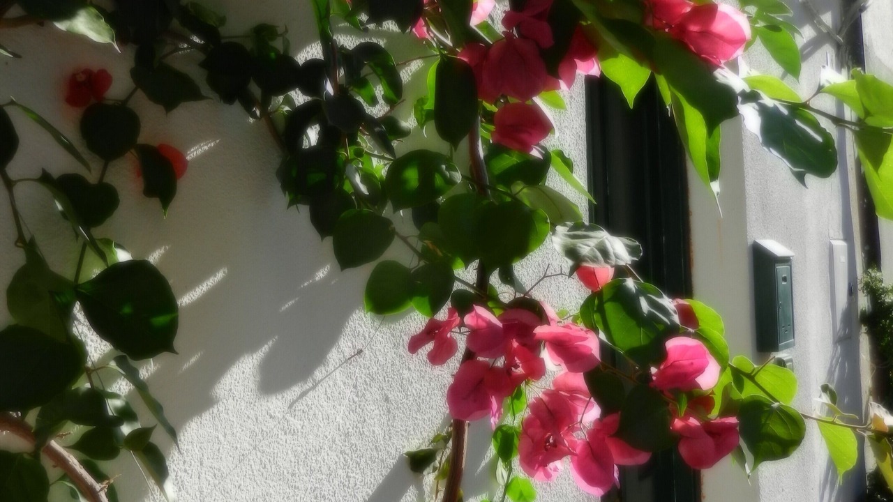 Photo of Outdoor in Vasia