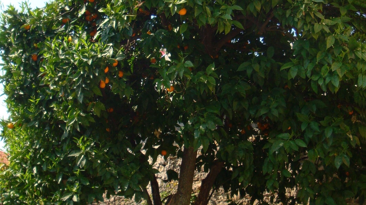 Photo of Outdoor in Vasia