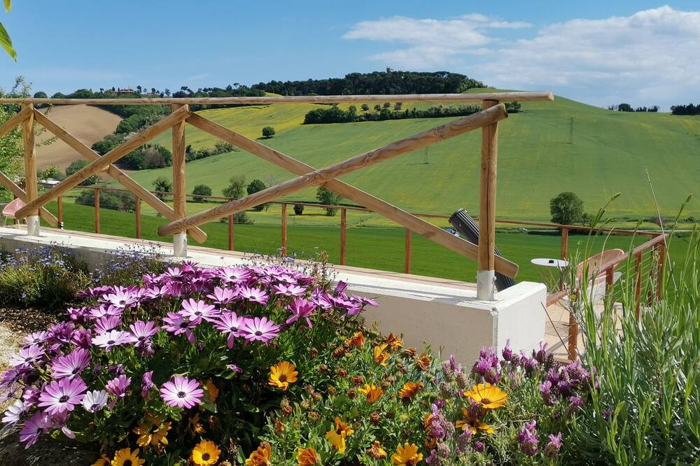 Photo of Outdoor in Loreto