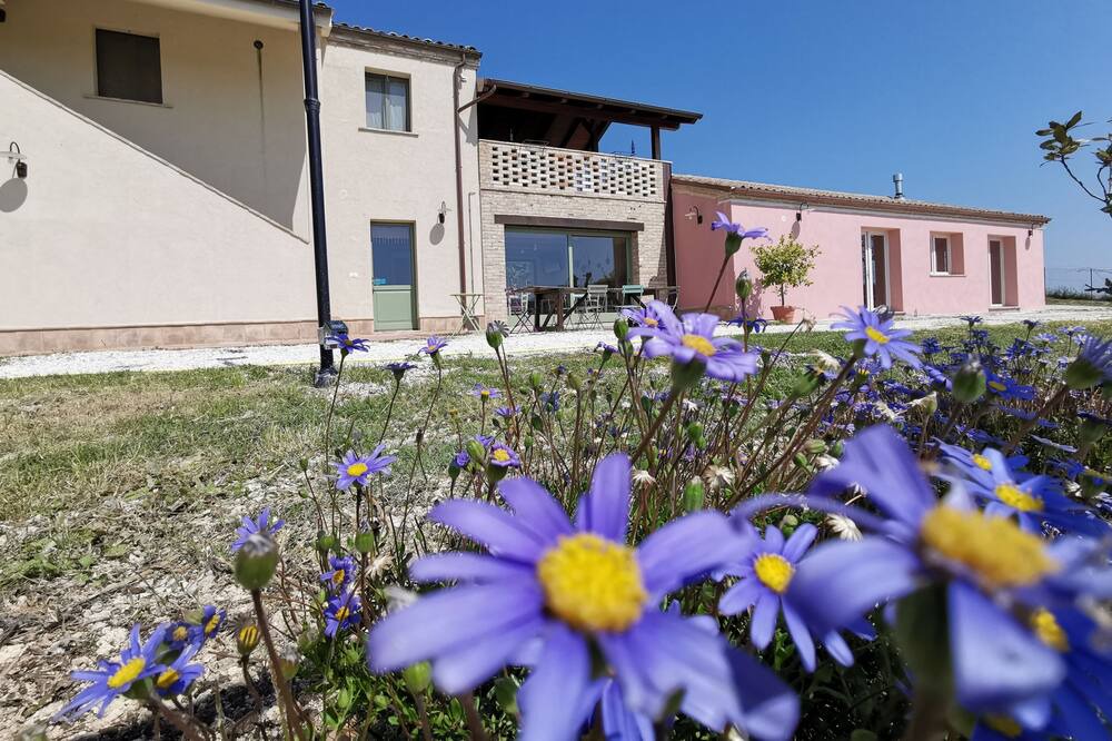 Photo of Outdoor in Loreto