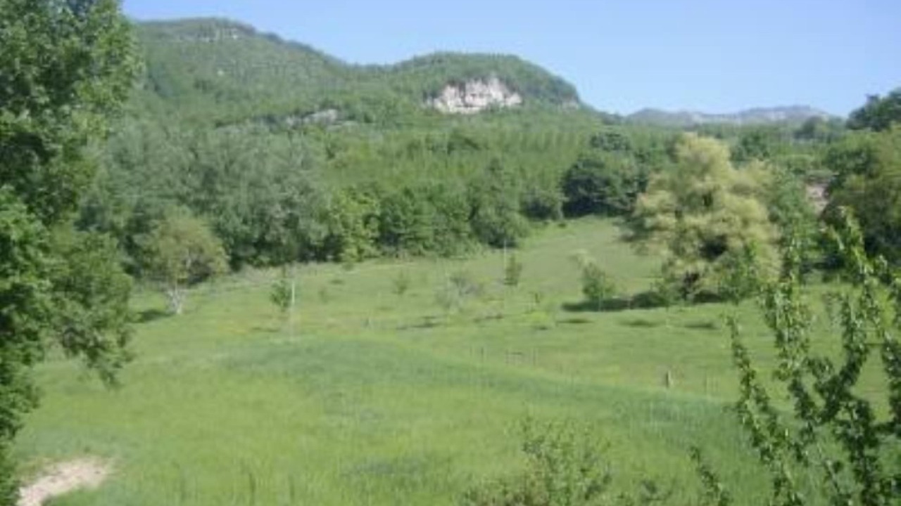 Photo of Others in Torricella Sicura