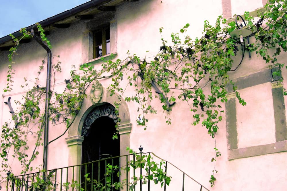 Photo of Outdoor in Camporgiano